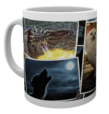 Harry Potter (Magical Creatures) Boxed Mug