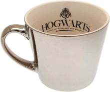 Harry Potter Collectors Mirror Mug & Plate Set