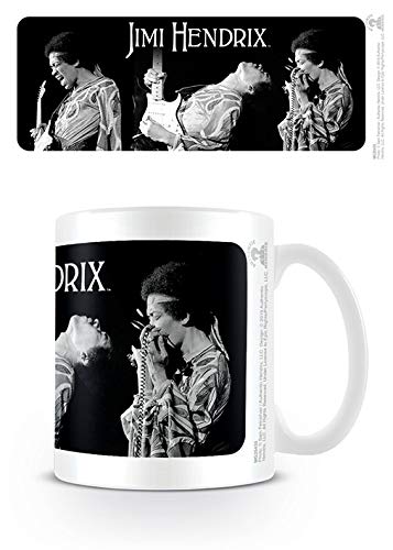 Jimi Hendrix (Triptych) Mug