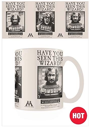 Harry Potter (Wanted Sirius Black) Heat Changing Mug