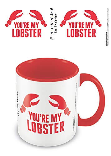 Friends (You're My Lobster) Mug