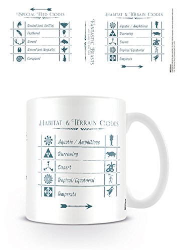 Fantastic Beasts (Codes) Mug