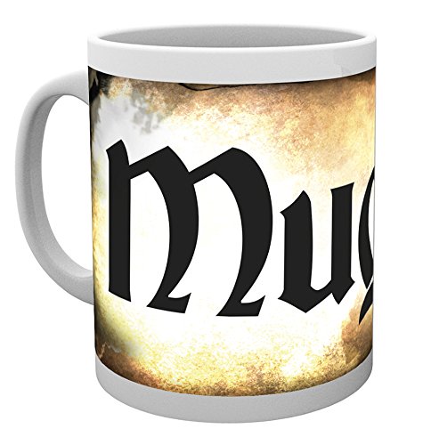 Harry Potter (Muggles) Mug