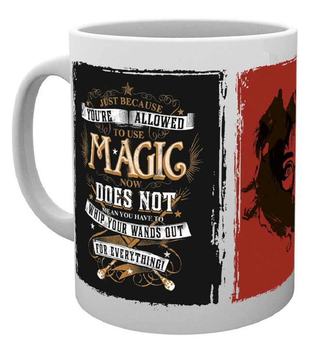 Harry Potter (Whip Your Wand Out) Mug
