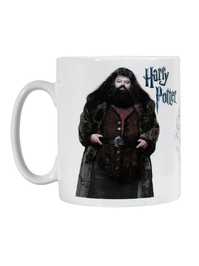 Harry Potter (Hagrid) Mug