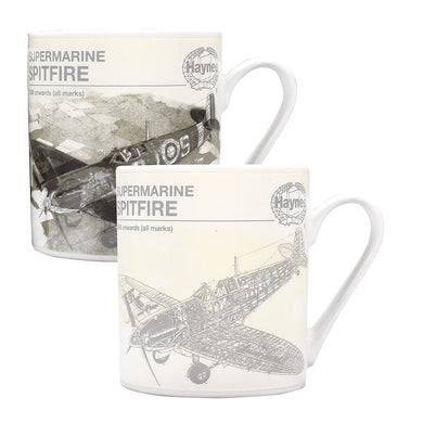Haynes (Spitfire) Heat Changing Mug
